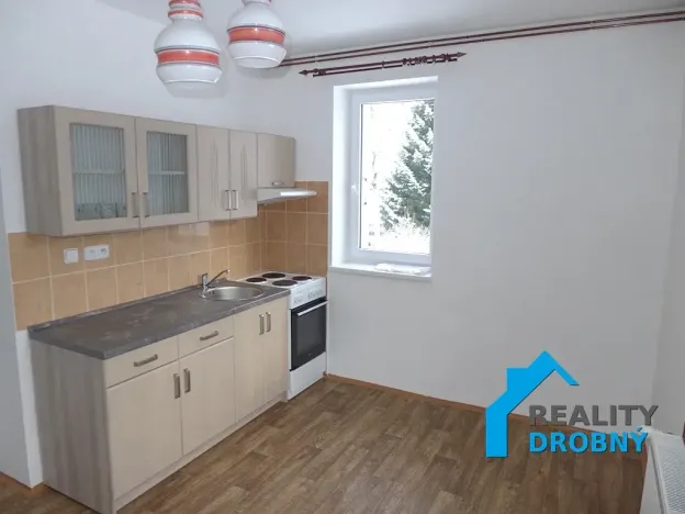 Pronájem bytu 1+1, Děčín, Družstevní, 37 m2