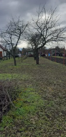 Prodej zahrady, Břeclav, Letiště, 1429 m2