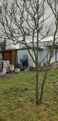 Prodej zahrady, Břeclav, Letiště, 1429 m2