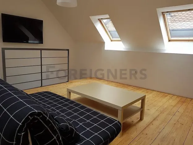 Pronájem bytu 3+kk, Olomouc, Uhelná, 95 m2