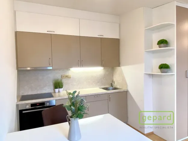 Pronájem bytu 1+kk, Dobřichovice, Anežky České, 30 m2