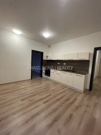 Pronájem bytu 2+kk, České Budějovice - České Budějovice 2, Na Samotách, 46 m2