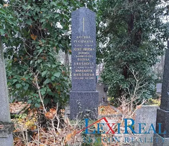 Prodej - jiné, Praha - Žižkov, Vinohradská, 3 m2