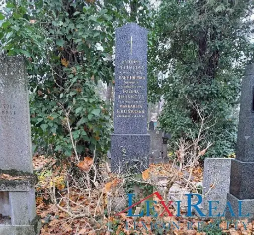 Prodej - jiné, Praha - Žižkov, Vinohradská, 3 m2