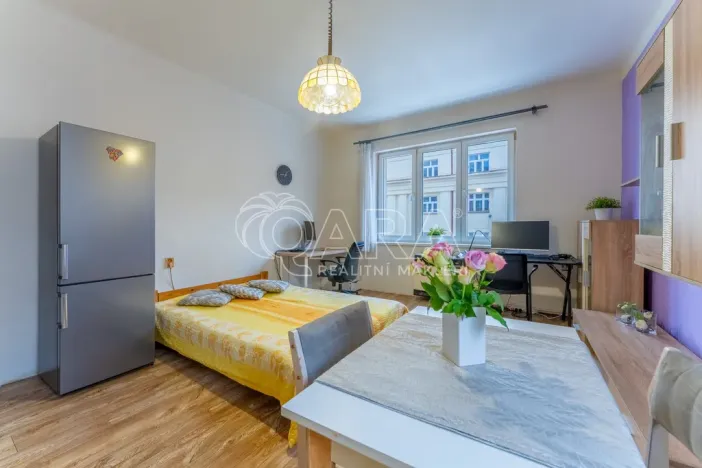 Prodej bytu 2+kk, Praha - Žižkov, Biskupcova, 46 m2
