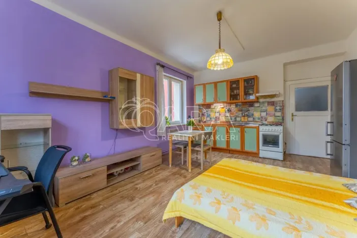 Prodej bytu 2+kk, Praha - Žižkov, Biskupcova, 46 m2