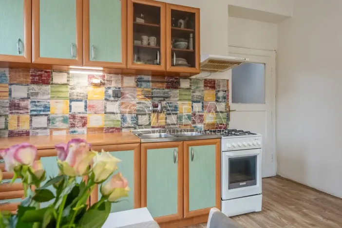 Prodej bytu 2+kk, Praha - Žižkov, Biskupcova, 46 m2