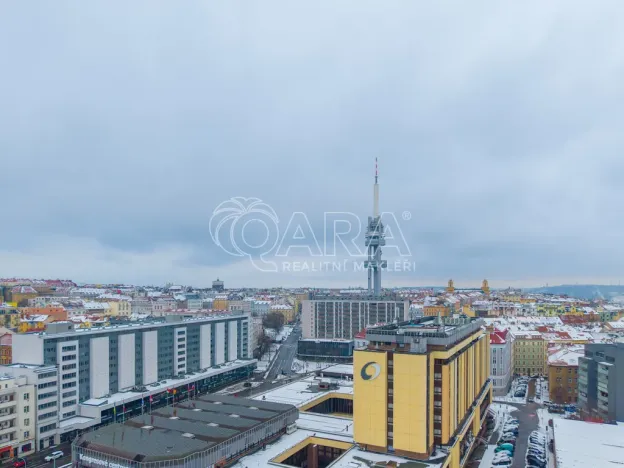 Prodej bytu 2+kk, Praha - Žižkov, Biskupcova, 46 m2