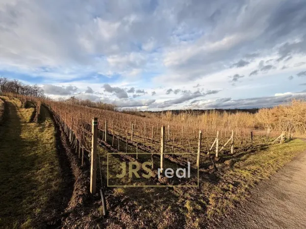 Prodej pozemku, Mutěnice, 3399 m2