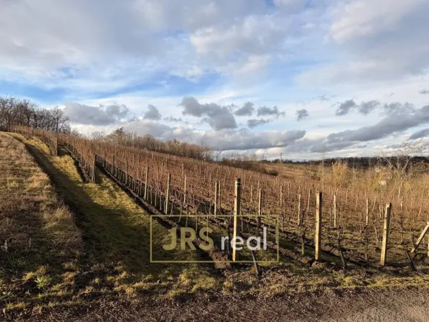 Prodej pozemku, Mutěnice, 3399 m2