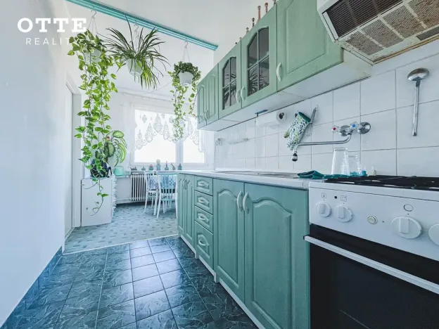 Prodej bytu 2+1, Plzeň, Na Dlouhých, 61 m2