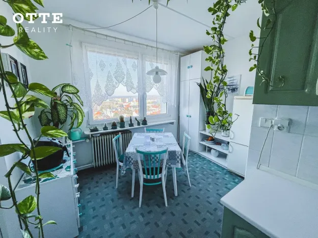 Prodej bytu 2+1, Plzeň, Na Dlouhých, 61 m2