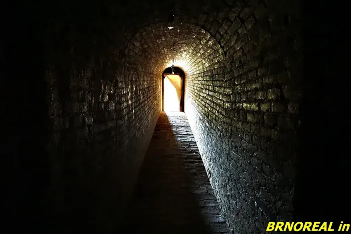 Prodej vícegeneračního domu, Staré Město pod Landštejnem, 1150 m2