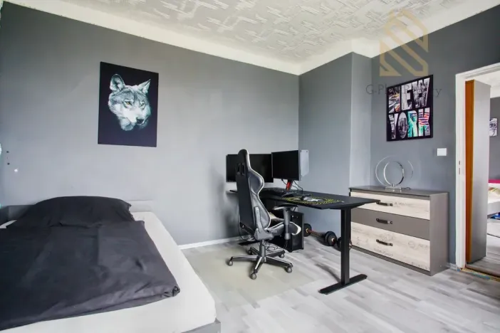 Prodej rodinného domu, Ústí nad Labem - Ústí nad Labem-centrum, Hostovická, 240 m2