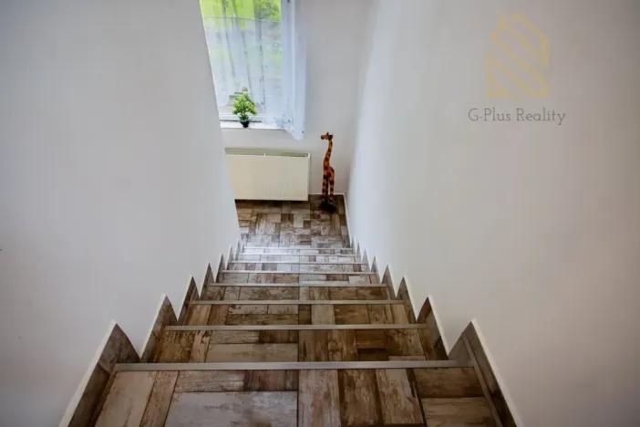 Prodej rodinného domu, Ústí nad Labem - Ústí nad Labem-centrum, Hostovická, 240 m2