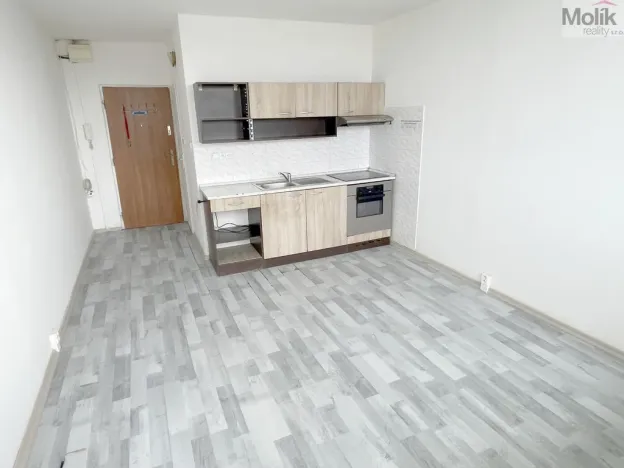 Prodej bytu 1+kk, Most, U Věžových domů, 22 m2