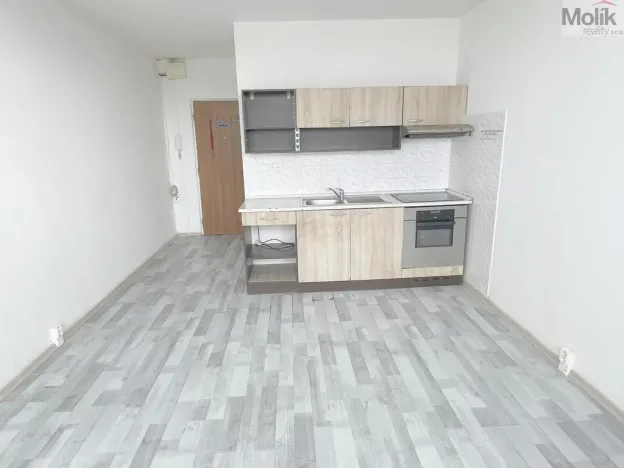Prodej bytu 1+kk, Most, U Věžových domů, 22 m2