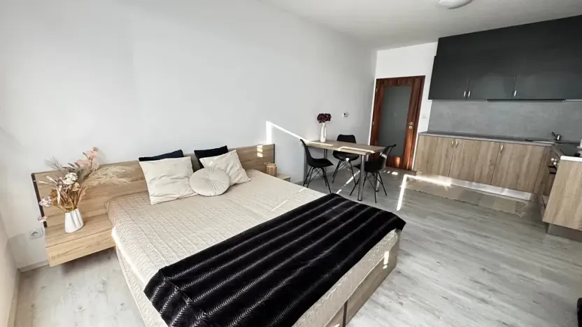 Pronájem bytu 1+kk, Pardubice, Pod Vinicí, 33 m2