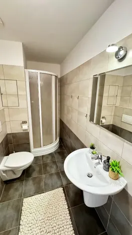 Pronájem bytu 1+kk, Pardubice, Pod Vinicí, 33 m2