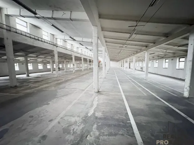 Prodej výrobních prostor, Hustopeče, 1710 m2
