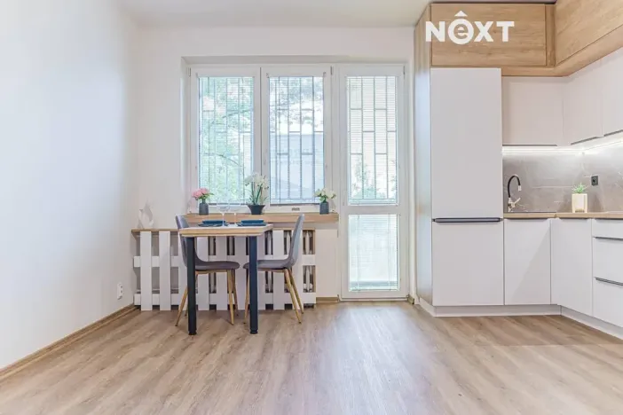 Pronájem bytu 1+kk, Ostrava, Aleše Hrdličky, 25 m2