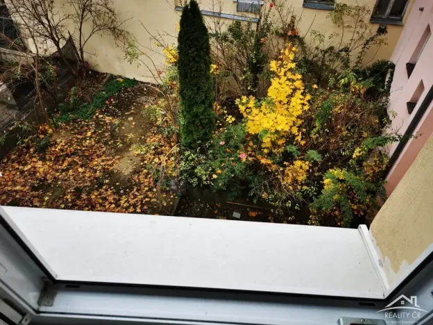 Pronájem bytu 1+kk, Jihlava, Palackého, 33 m2