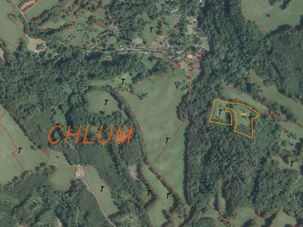 Dražba louky, Děčín, 15764 m2