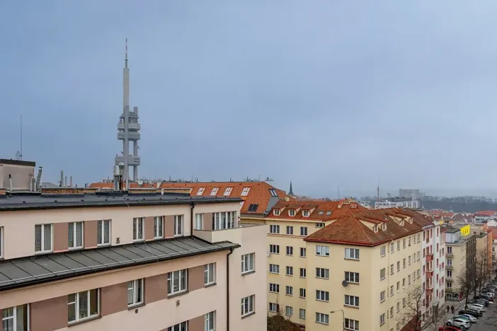 Prodej bytu 1+1, Praha - Žižkov, Baranova, 49 m2