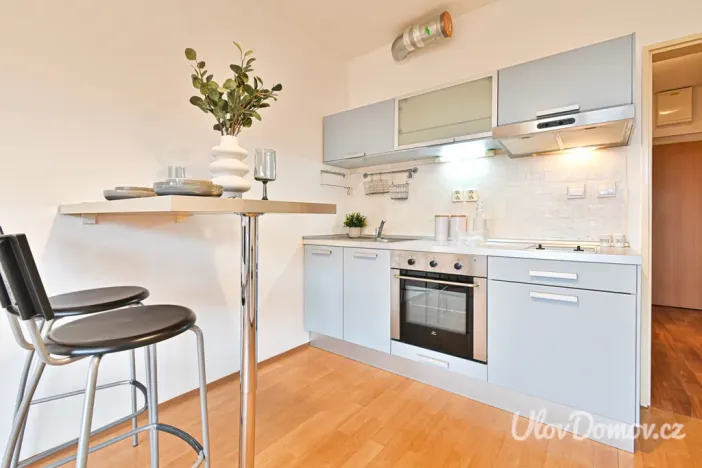 Prodej bytu 1+kk, Praha - Troja, Hnězdenská, 36 m2