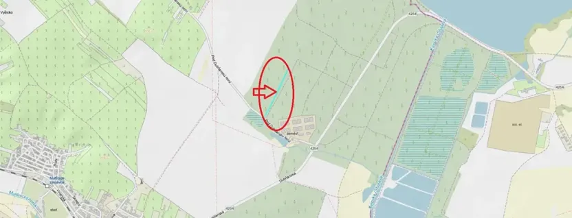 Prodej podílu lesa, Mutěnice, 1819 m2