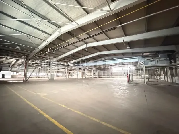 Pronájem výrobních prostor, Bakov nad Jizerou, Na Výsluní, 5848 m2