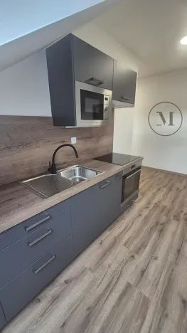 Pronájem bytu 2+kk, České Budějovice, Novohradská, 53 m2