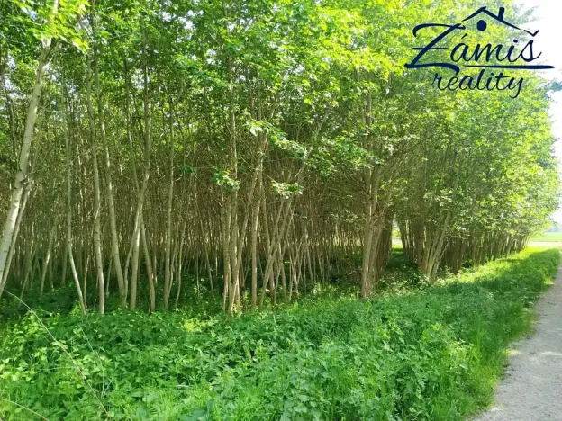 Prodej sadu/vinice, Kačice, K zahradě, 43712 m2