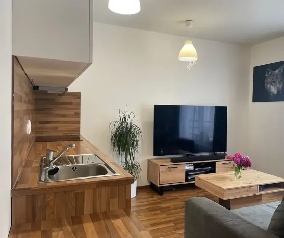 Pronájem bytu 1+kk, České Budějovice, Otakarova, 26 m2