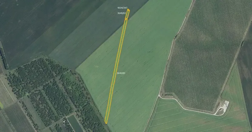 Prodej pole, Čejkovice, 3169 m2