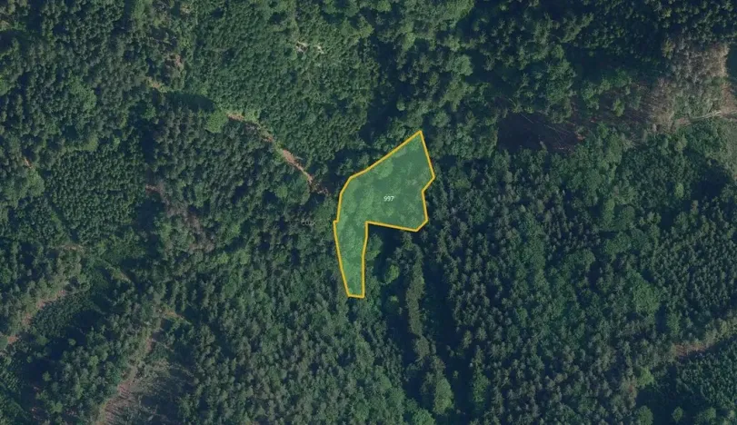 Prodej pole, Jílové u Držkova, 27556 m2