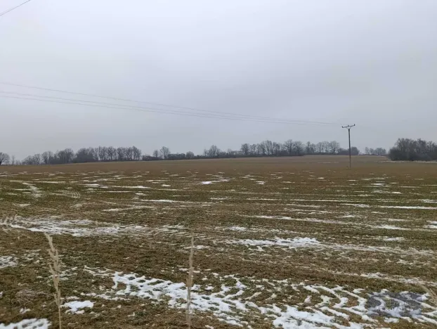 Prodej zemědělského objektu, Pavlov, 20000 m2