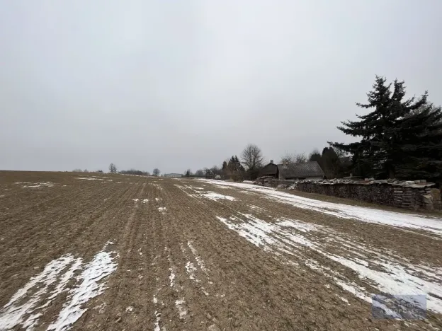 Prodej zemědělského objektu, Pavlov, 20000 m2