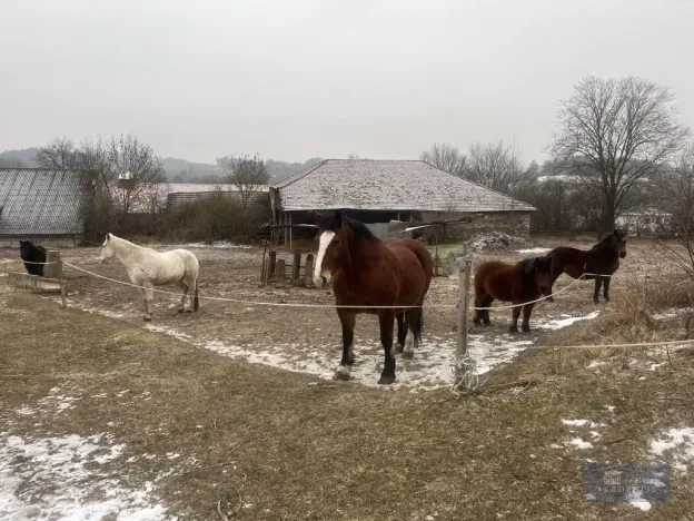 Prodej zemědělského objektu, Pavlov, 2020000 m2