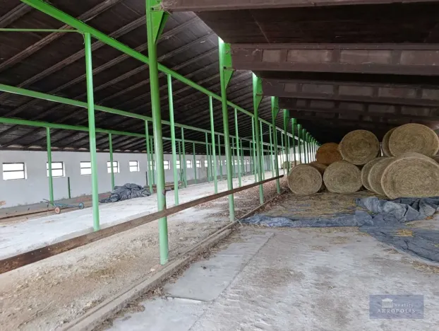 Prodej zemědělského objektu, Pavlov, 2020000 m2