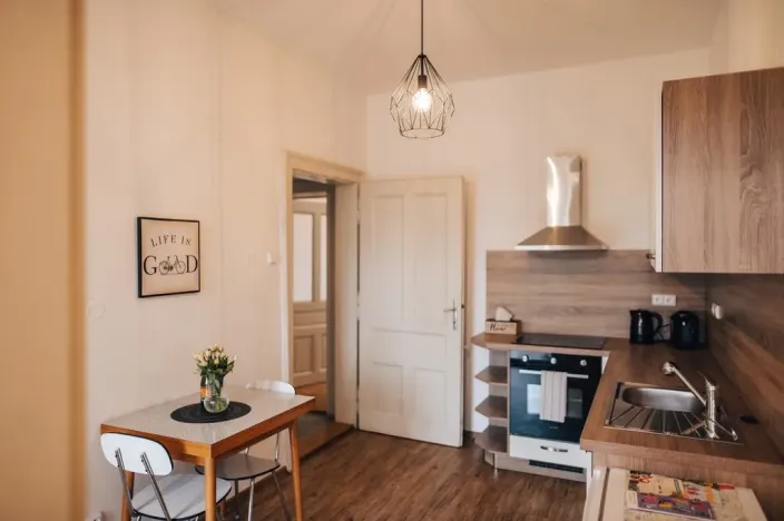 Pronájem bytu 1+1, Olomouc - Pavlovičky, Gorkého, 47 m2