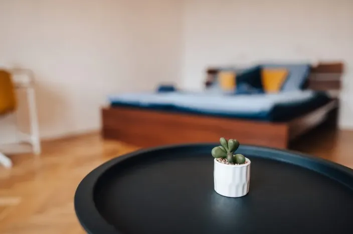 Pronájem bytu 1+1, Olomouc - Pavlovičky, Gorkého, 47 m2