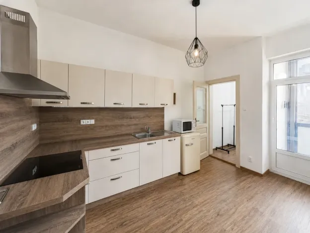 Pronájem bytu 1+1, Olomouc - Pavlovičky, Gorkého, 47 m2