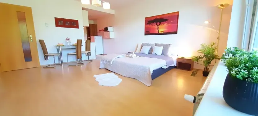 Pronájem bytu 1+kk, Brno, Šemberova, 51 m2