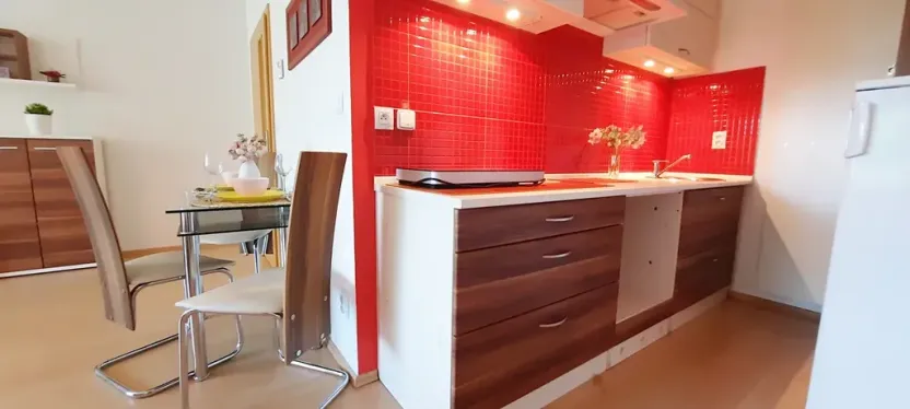 Pronájem bytu 1+kk, Brno, Šemberova, 51 m2