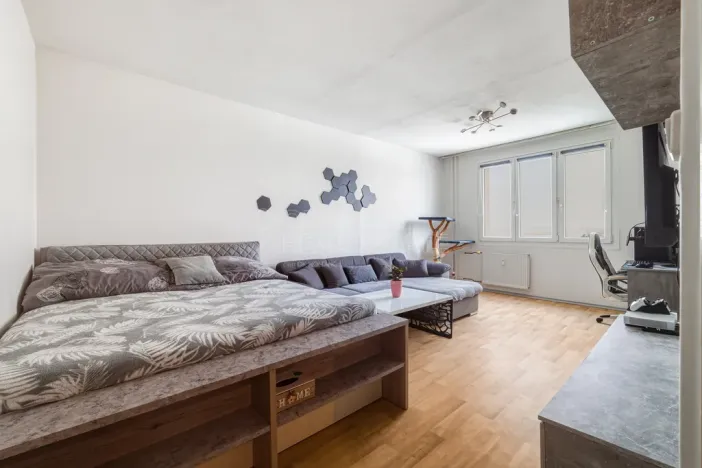 Prodej bytu 2+1, Plzeň, Dlouhá, 62 m2