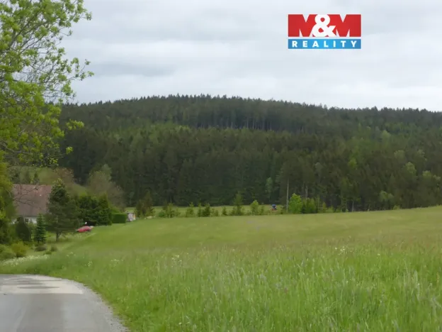 Prodej louky, Vysoká Srbská, 26000 m2