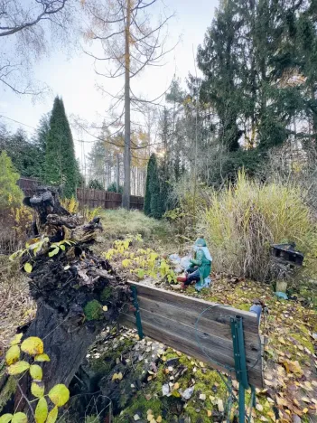 Prodej vícegeneračního domu, Horní Police - Podlesí, 240 m2