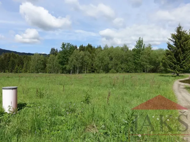 Prodej pozemku pro bydlení, Srní, 3812 m2