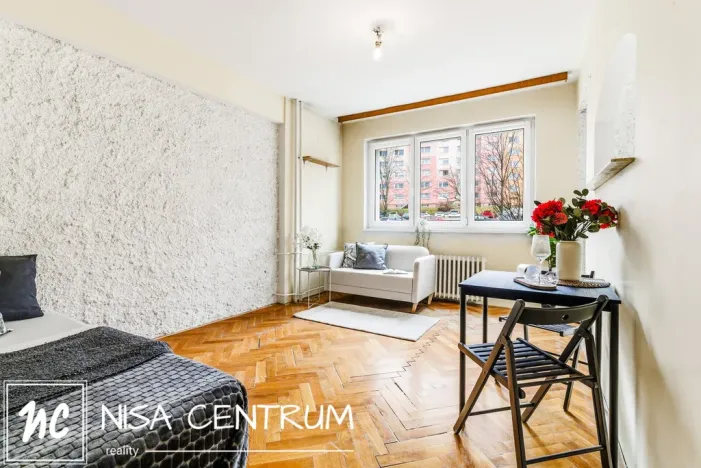 Prodej bytu 1+1, Liberec, U Potůčku, 41 m2